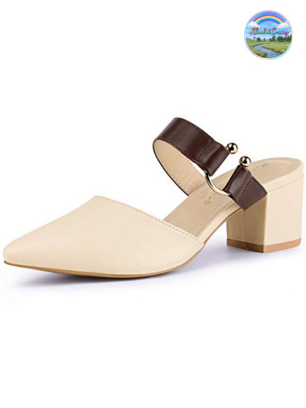 Women's Pointed Toe Chunky Heel Buckle Strap Dress Mules Pumps